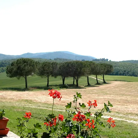 Between Pisa And Livorno 펜션 *